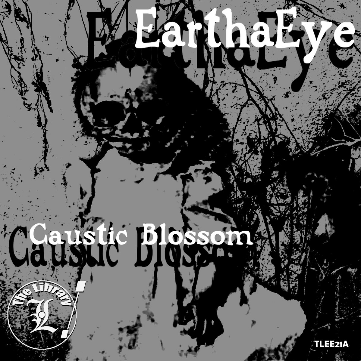 Photo of EarthaEye