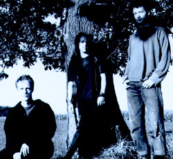 Photo of Lady Besery's Garden