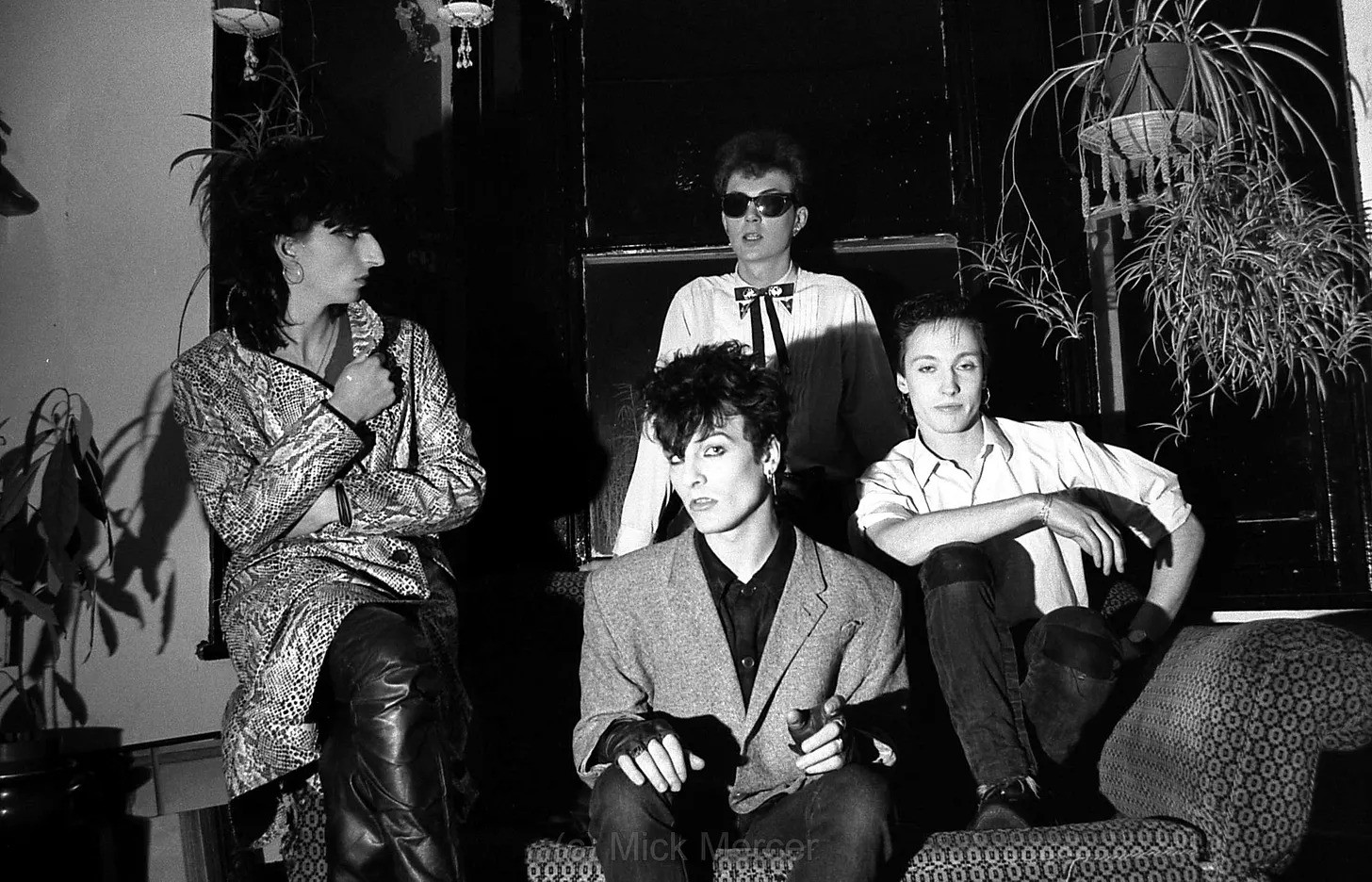 Photo of Flesh For Lulu