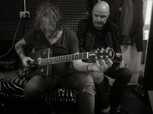 Photo of The Red Sided Garter Snakes