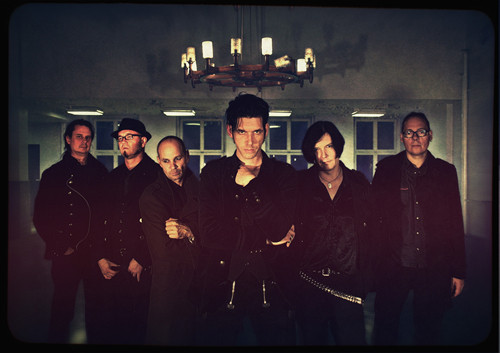 Photo of Golden Apes