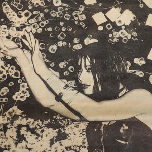 Photo of Cult Erotica