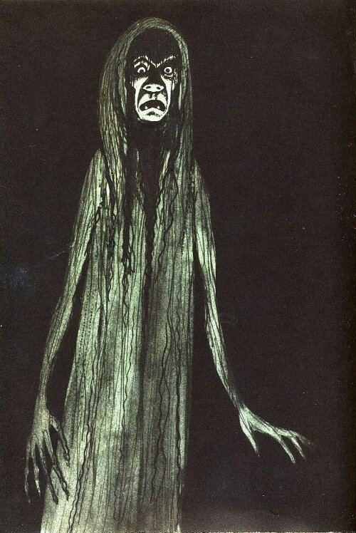 Photo of Coffin Moth