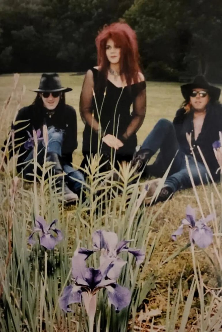 Photo of Sunshine Blind