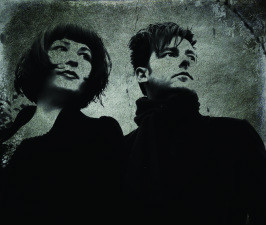 Photo of Friends of Alice Ivy