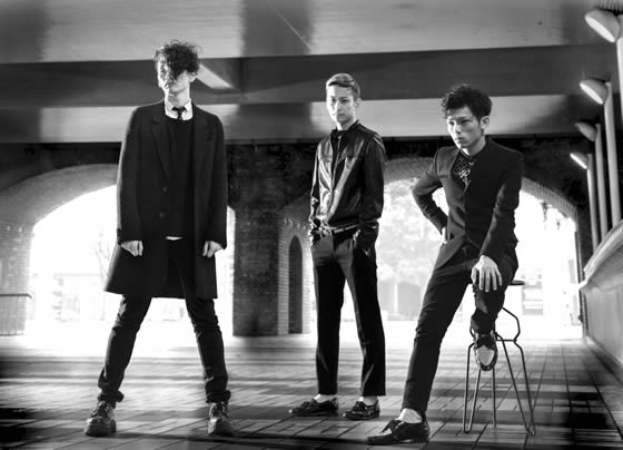 Photo of Lillies and Remains