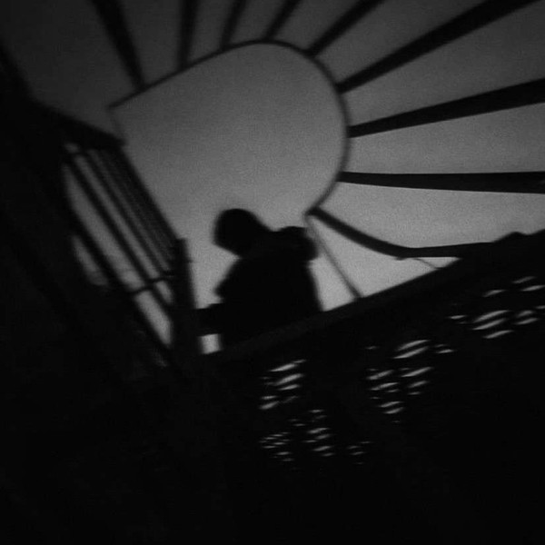 Photo of Shadows Hold