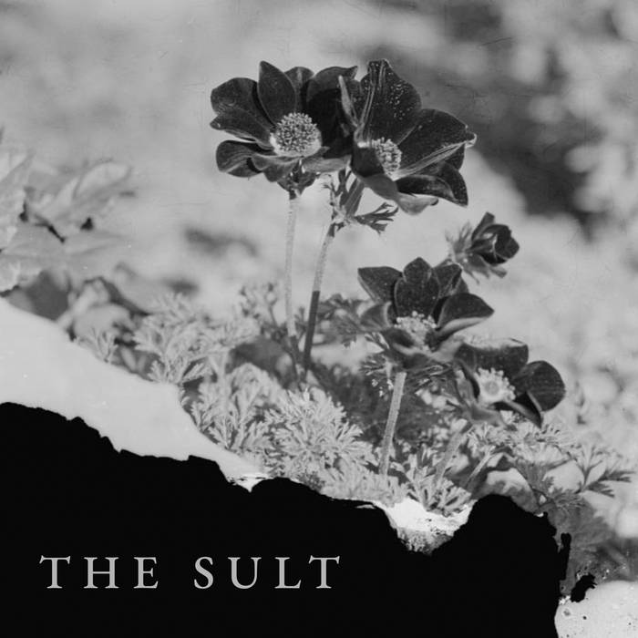 Photo of The Sult